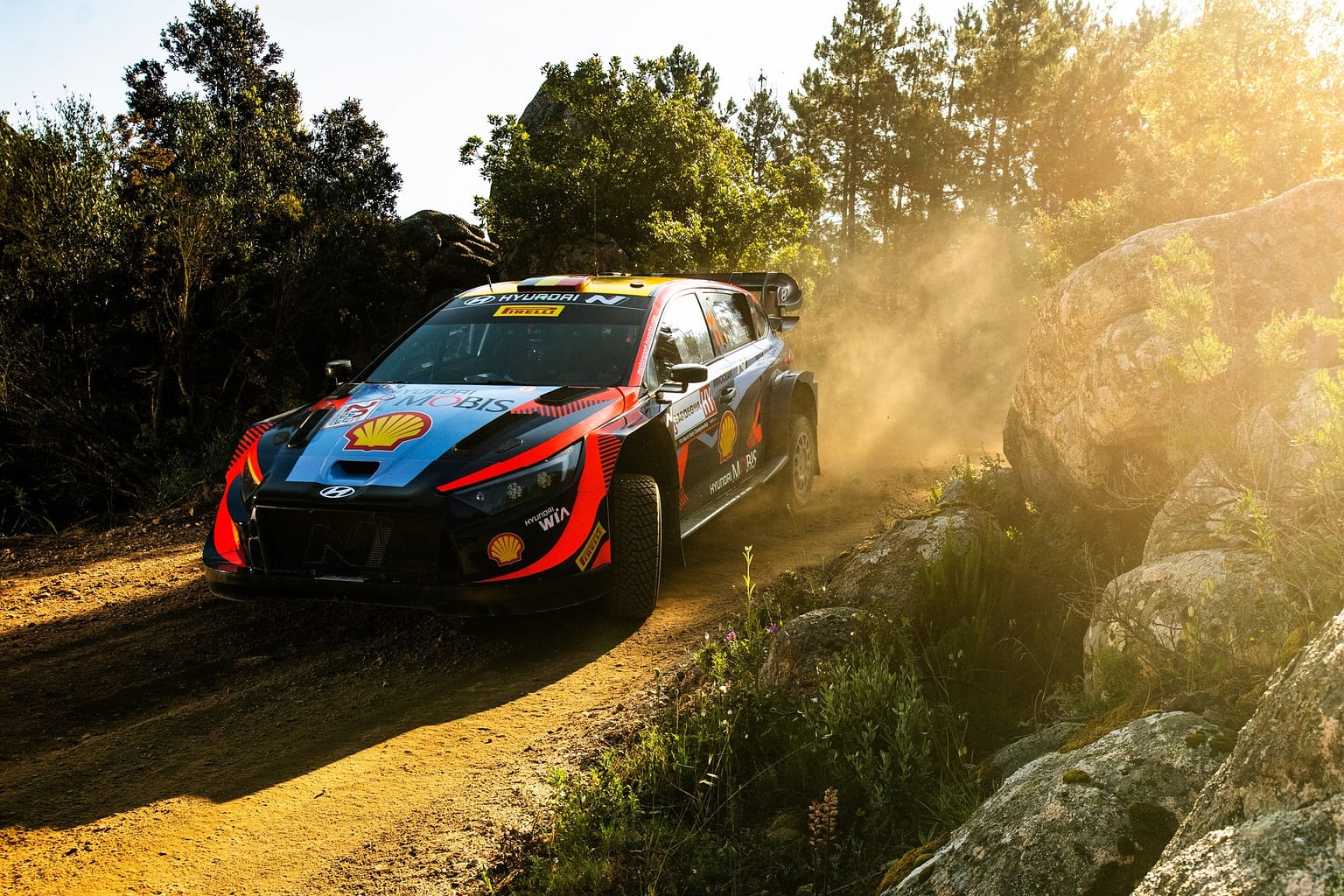 Thierry neuville